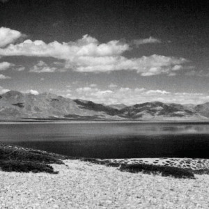 0124/CX38 Bottiglia Adriani e Rossi белый