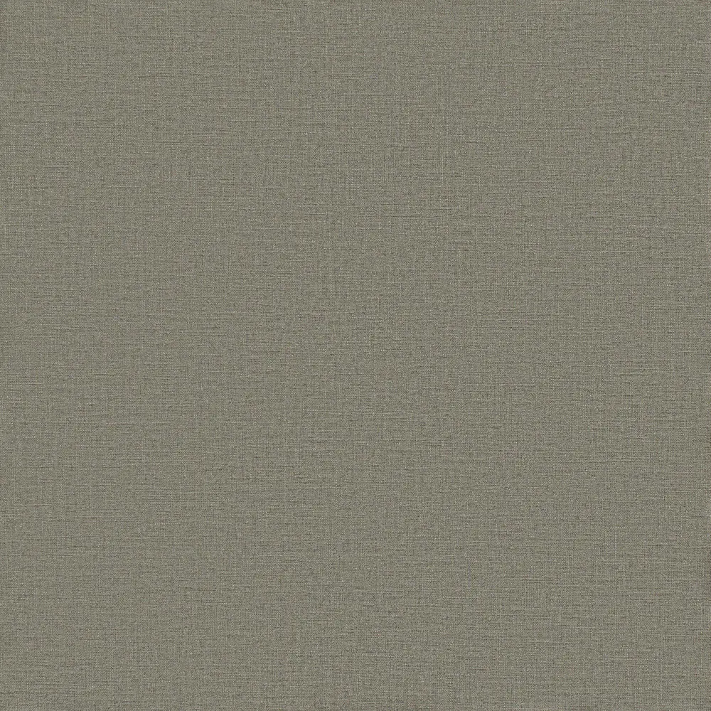 Обои на флизелиновой основе 0.53х10 м однотон цвет графитовый Ra 449853 Rasch Florentine STLM-2162512 - Вид №1