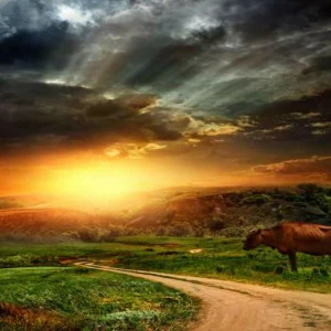 WP02478 Фотообои Verol Фотообои decoline 1х1 м