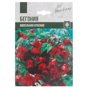 Бегония ампельная, цвет красный 81945830 STLM-2171607