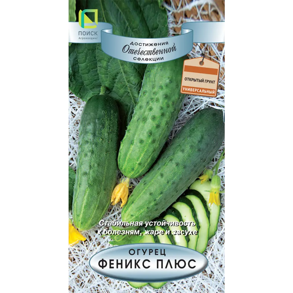 Семена огурца Феникс плюс - урожайный сорт для открытого грунта 89401076 ПОИСК STLM-1573425