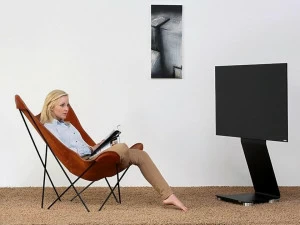 Wissmann raumobjekte Поддержка монитора / телевидения  120