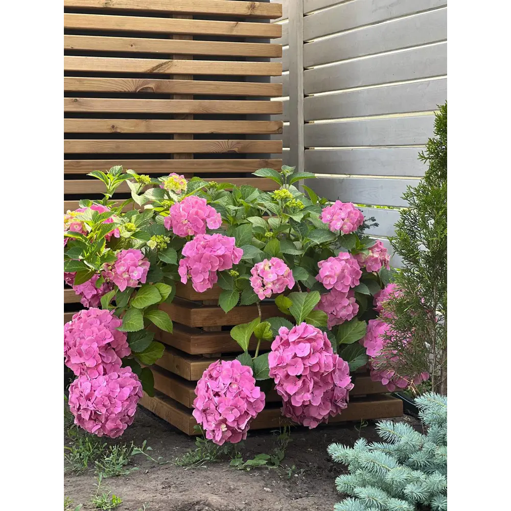 Брусок строганый импрегнированный 45x70x3000 мм хвоя сорт Оптима РУСШПАЛА STLM-2020858 - Вид №3