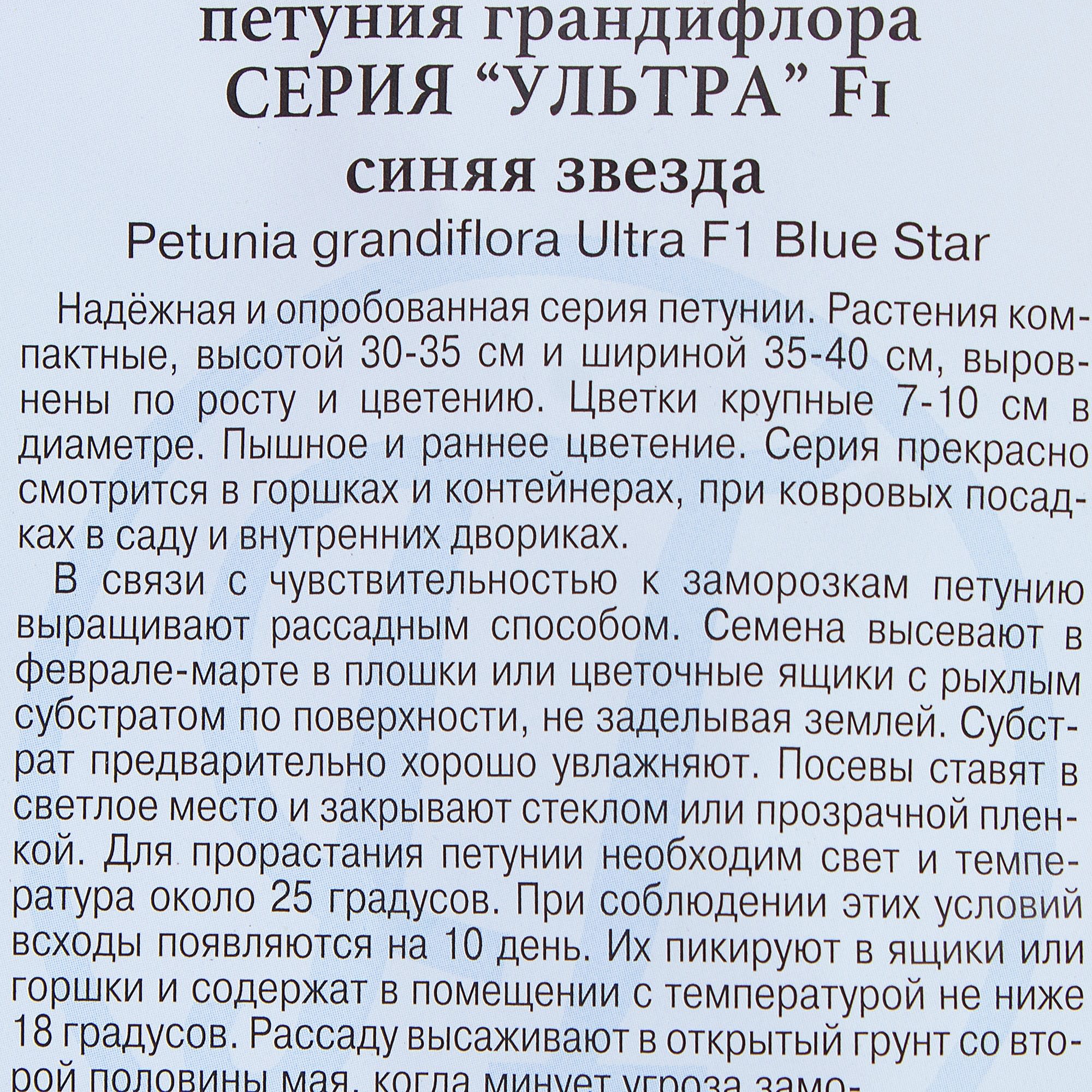 81931612 Петуния грандифлора «Ультра» F1, цвет синяя звезда Santreyd  - Вид №2