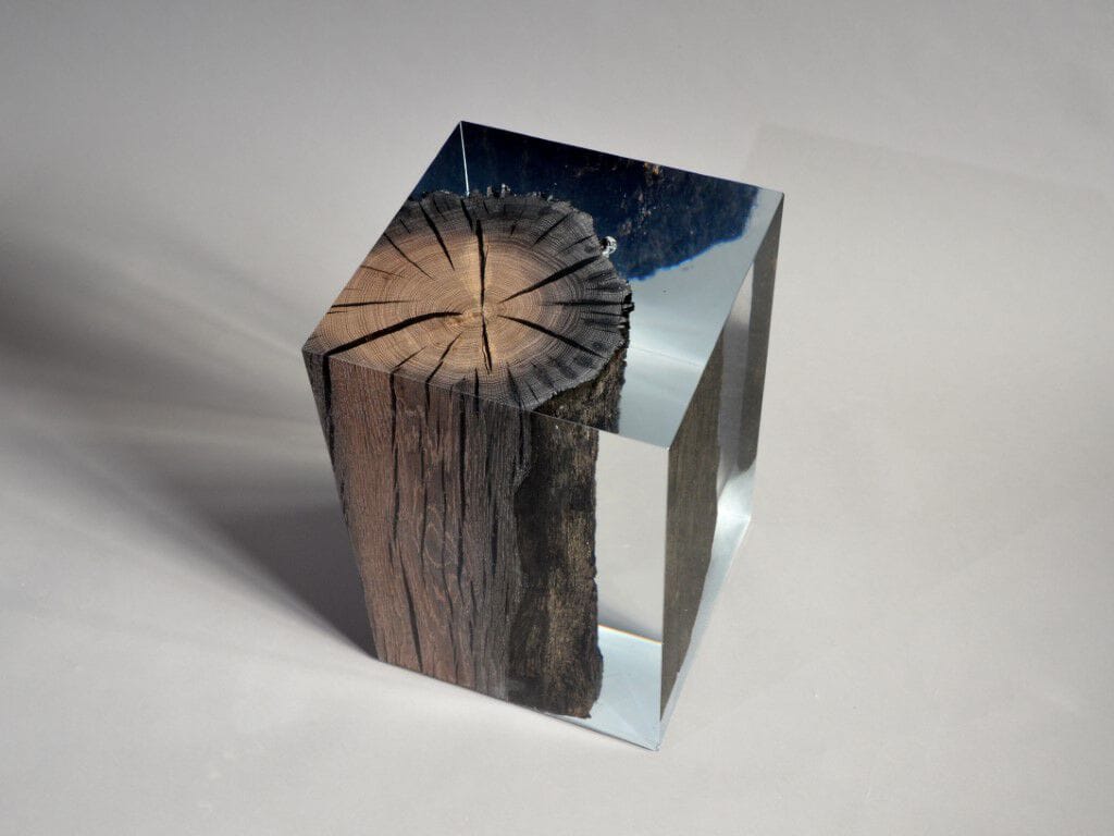 Журнальный столик / табурет alcarol Wetland ARCH-00051618 - Вид №5