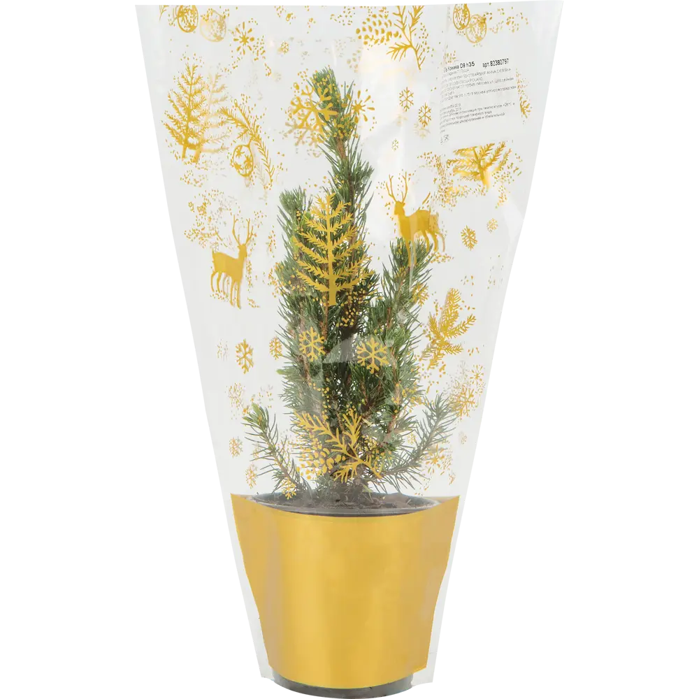 Ель Коника ø9 h35 см Santreyd STLM-2202902 - Вид №3