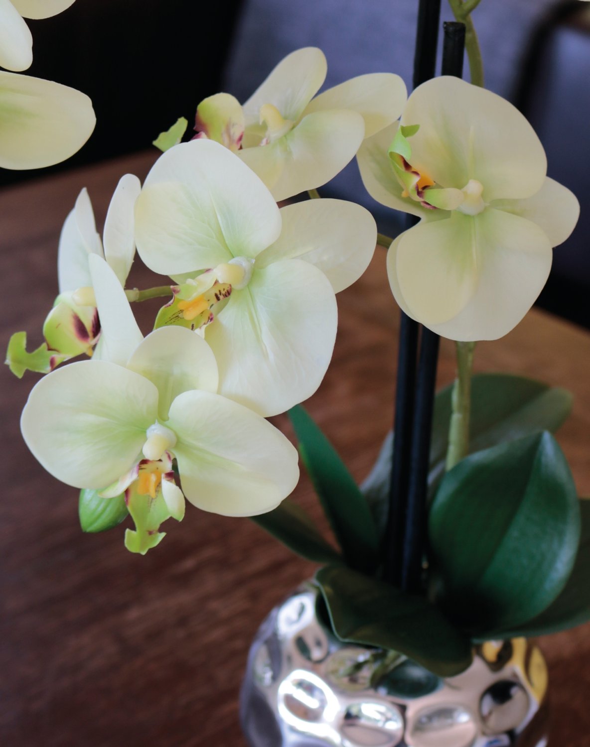 2772 788 a3 Пластиковая орхидея Phalaenopsis, 2-х кратная, горшечная, 45 см, real touch, бежево-зеленая H-andreas  - Вид №4