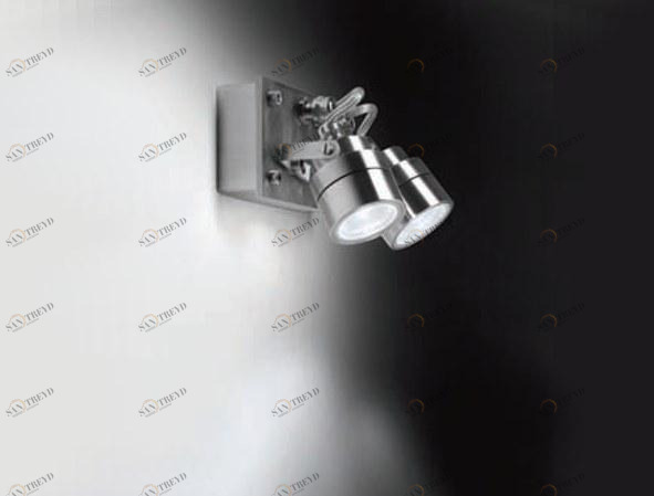 BEL-LIGHTING Регулируемый светодиодный проектор для улицы из нержавеющей стали Prince 8003