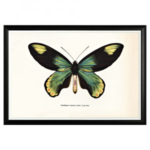 782752431_1818 Арт-постер «Тропический рай», версия 11 Object Desire