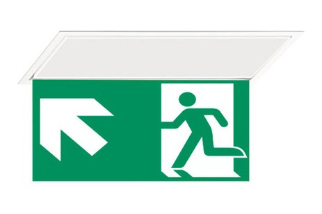 DST-282 Hydra pennant Daisalux Светильники аварийные Белый 