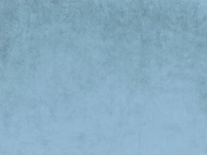 COLORISTICA 2331-605 Портьерная ткань  Бархат  Fluid