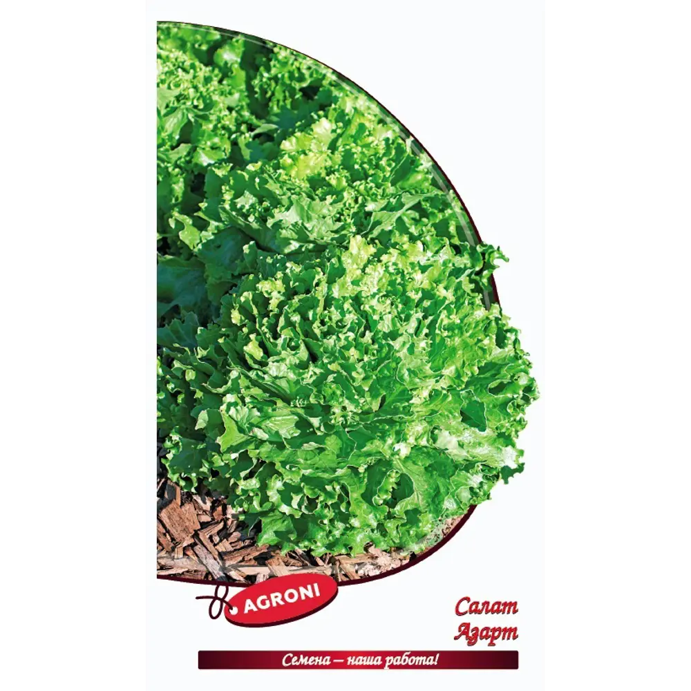 Семена трав Азарт AGRONI STLM-2072912