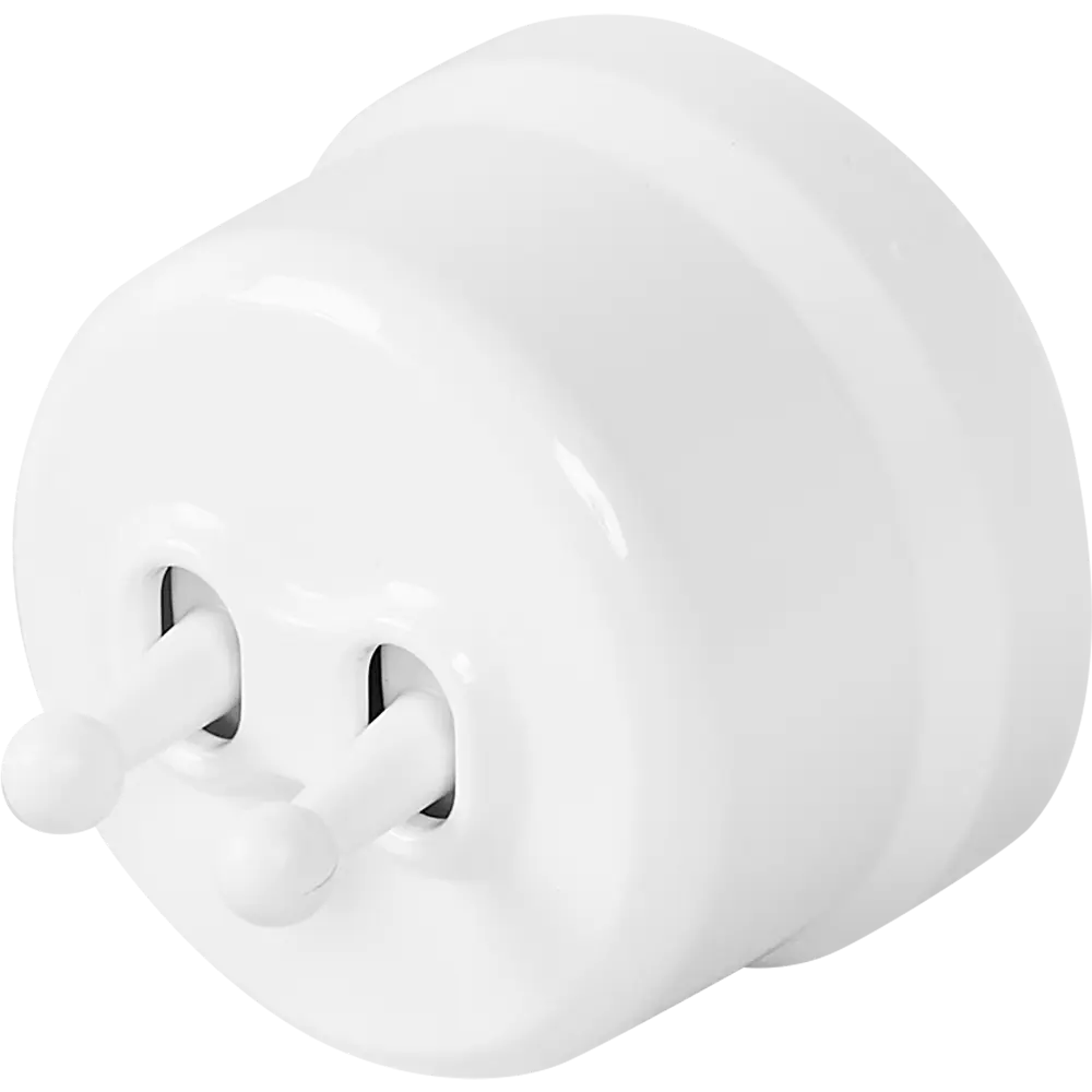 Выключатель Electraline двухклавишный тумблерный в глянцевом белом исполнении 84229205