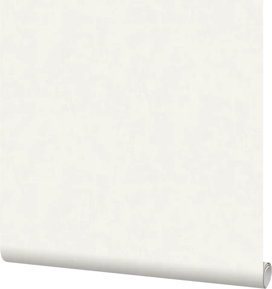 Erismann Light 4 - флизелиновые обои светло-бежевые 1.06 м 82738693