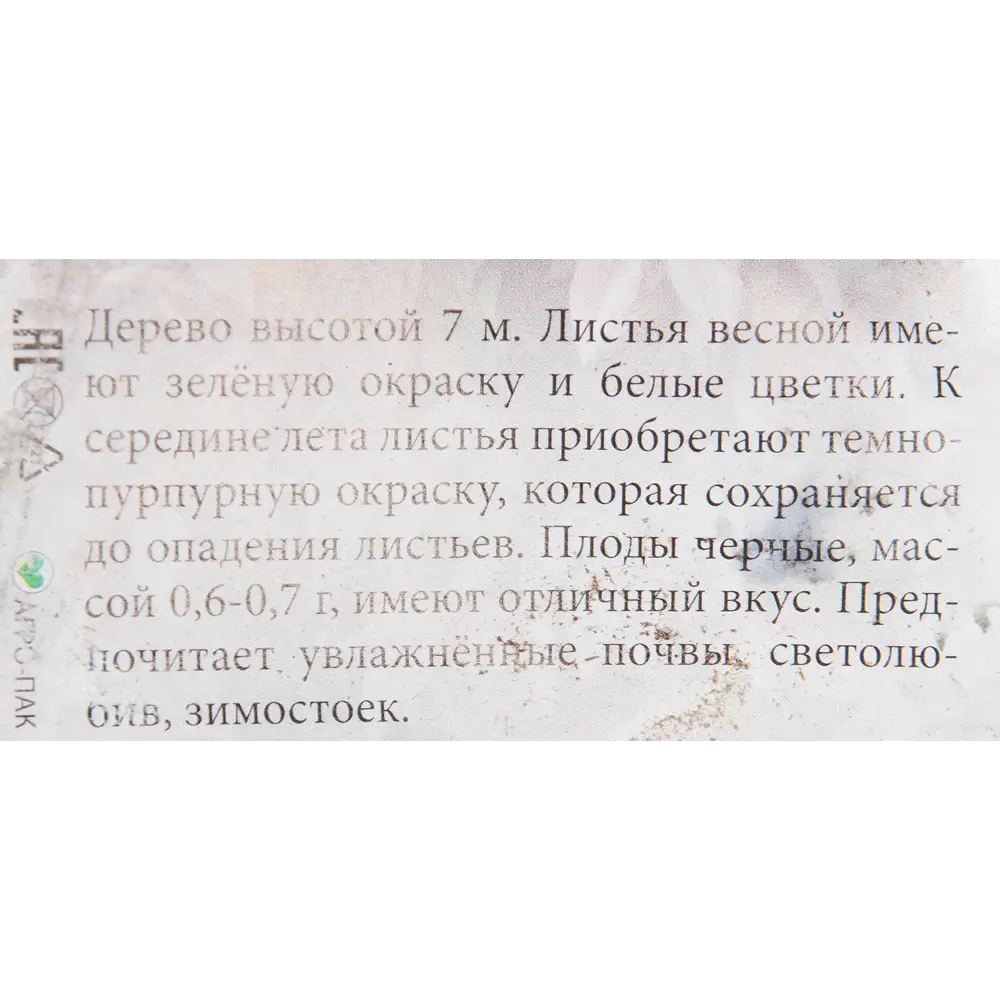 Черемуха «Сибирская красавица» в пакете Santreyd STLM-2049292 - Вид №1