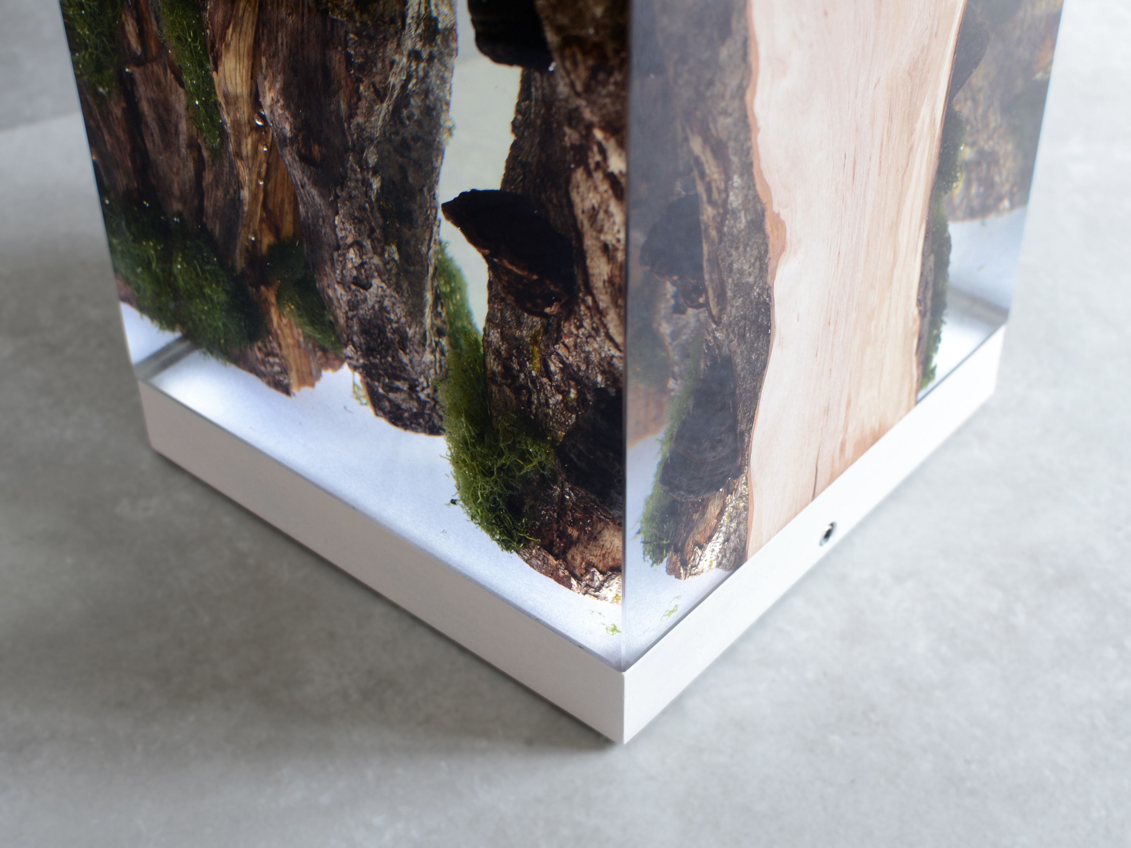 Светодиодная настольная лампа alcarol Подлесок ARCH-00036620 - Вид №11