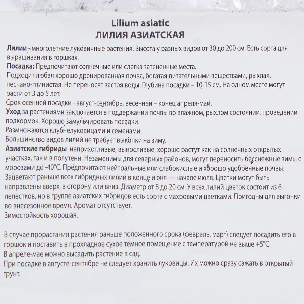Лилия азиатская Йети 14/16, 1 шт 81945472 STLM-2070823 Santreyd  - Вид №2