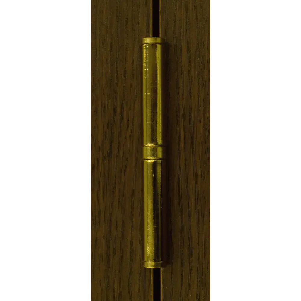 Петля правая 113-4 100x70x2.5 мм сталь цвет латунь Santreyd STLM-2119556 - Вид №4