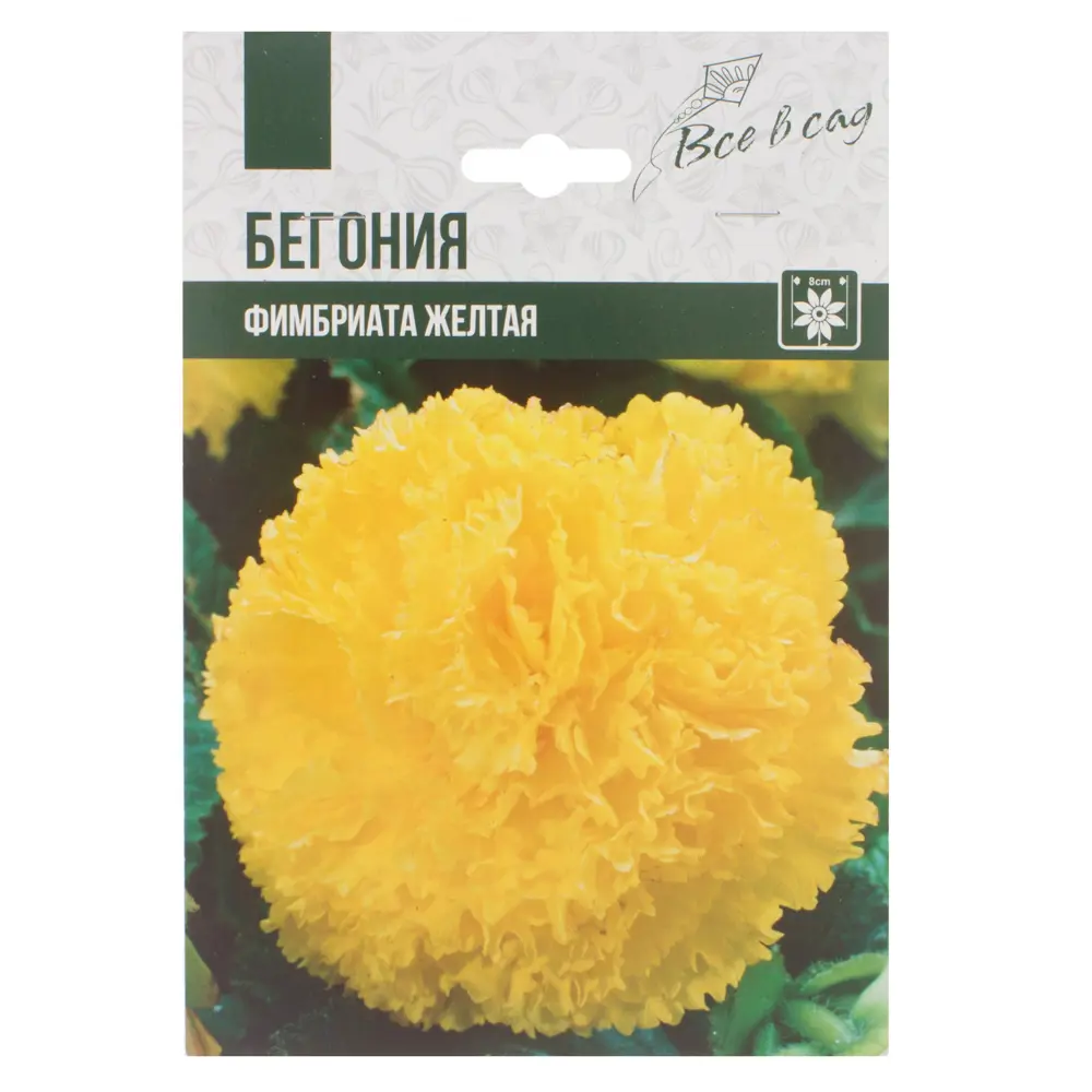 Бегония Фимбриата жёлтый луковица 4/5 2 шт 81945825 STLM-2035639 Santreyd 