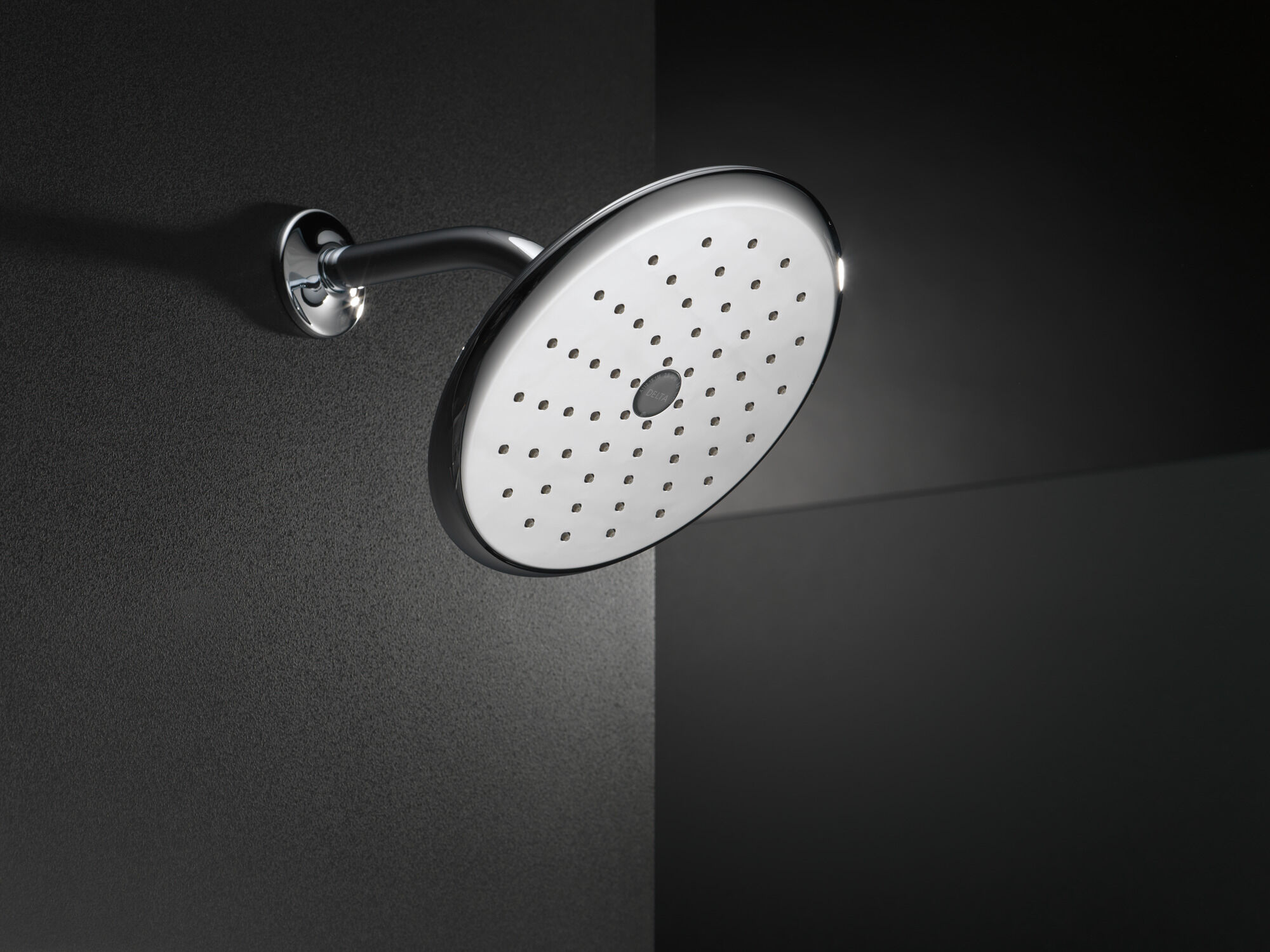 RP52382PB Душевая лейка Raincan с одинарной настройкой Delta Faucet Universal Showering Полированная латунь  - Вид №3