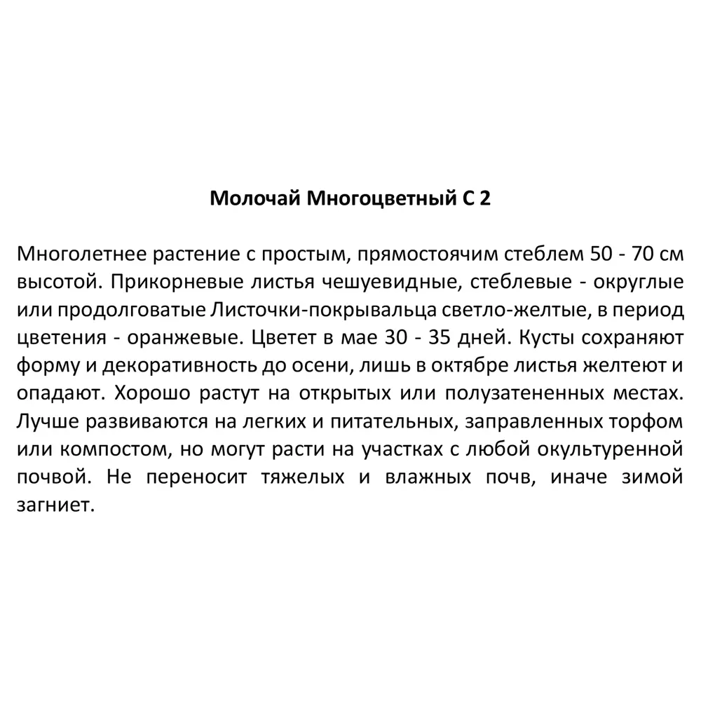 Молочай многоцветный ø17 h30 см 85324870 STLM-2004224 Santreyd  - Вид №3