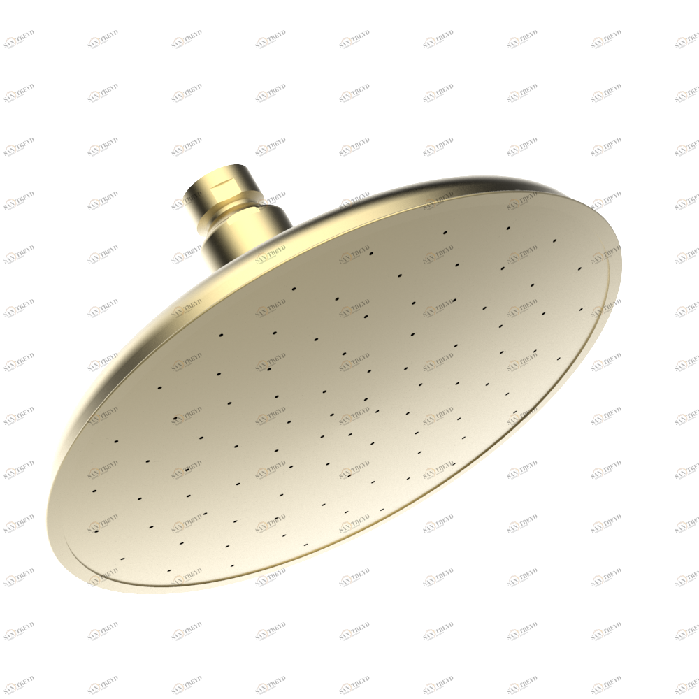 G00-286 Лейка душевая Ø 200 мм с шаровым шарнирным соединением 1/2" Thg-paris прочие артикулы THG Светлое золото G00 286 CAT.F
