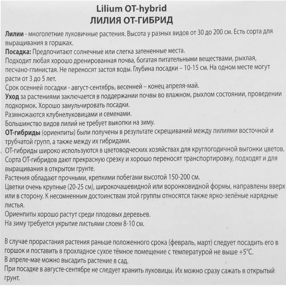 Лилия от-гибрид Лесли Вудрифф 85205726 STLM-2116220 ПОИСК  - Вид №2