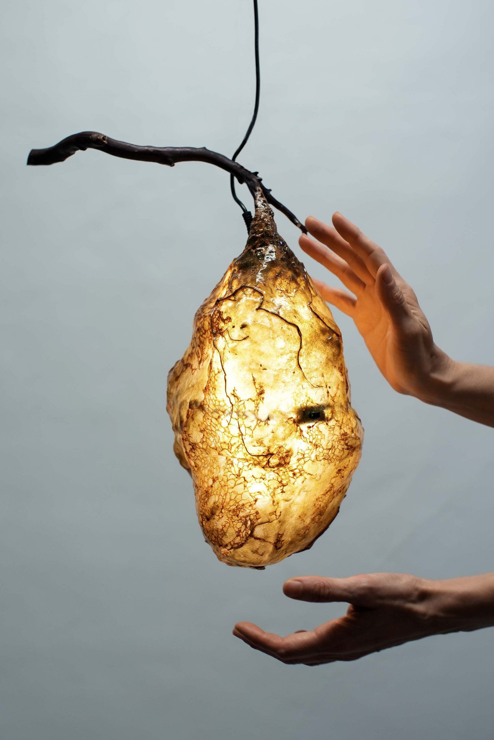 Яркая скульптура LO Contemporary THE HIVE II ARCH-00053958 - Вид №2