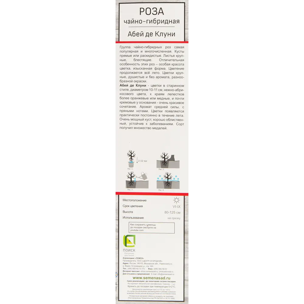 Роза чайно-гибридная Абэйдэ Клуни 82527340 STLM-2077047 Santreyd  - Вид №2