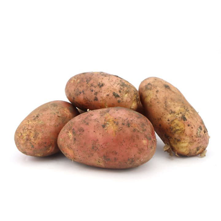 Картофель Ростов Гала Santreyd 5063