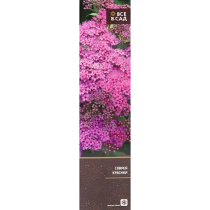Спирея красная в тубе 82539519 STLM-2106590
