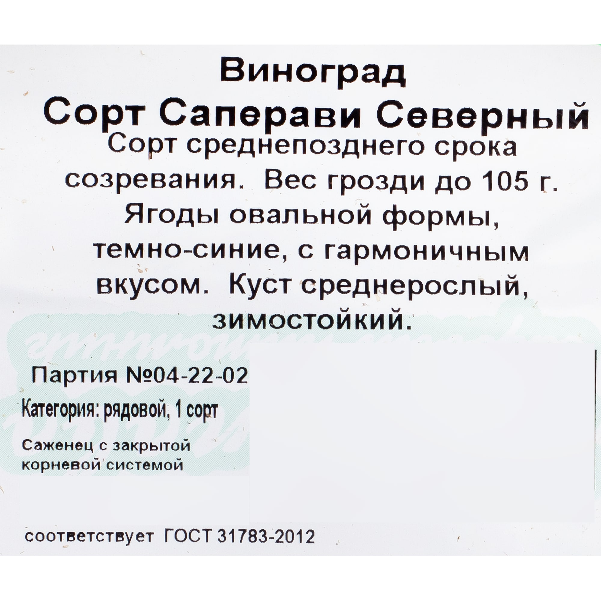 81954908 Виноград плодовый С2 «Саперави северный» h50 Santreyd  - Вид №1