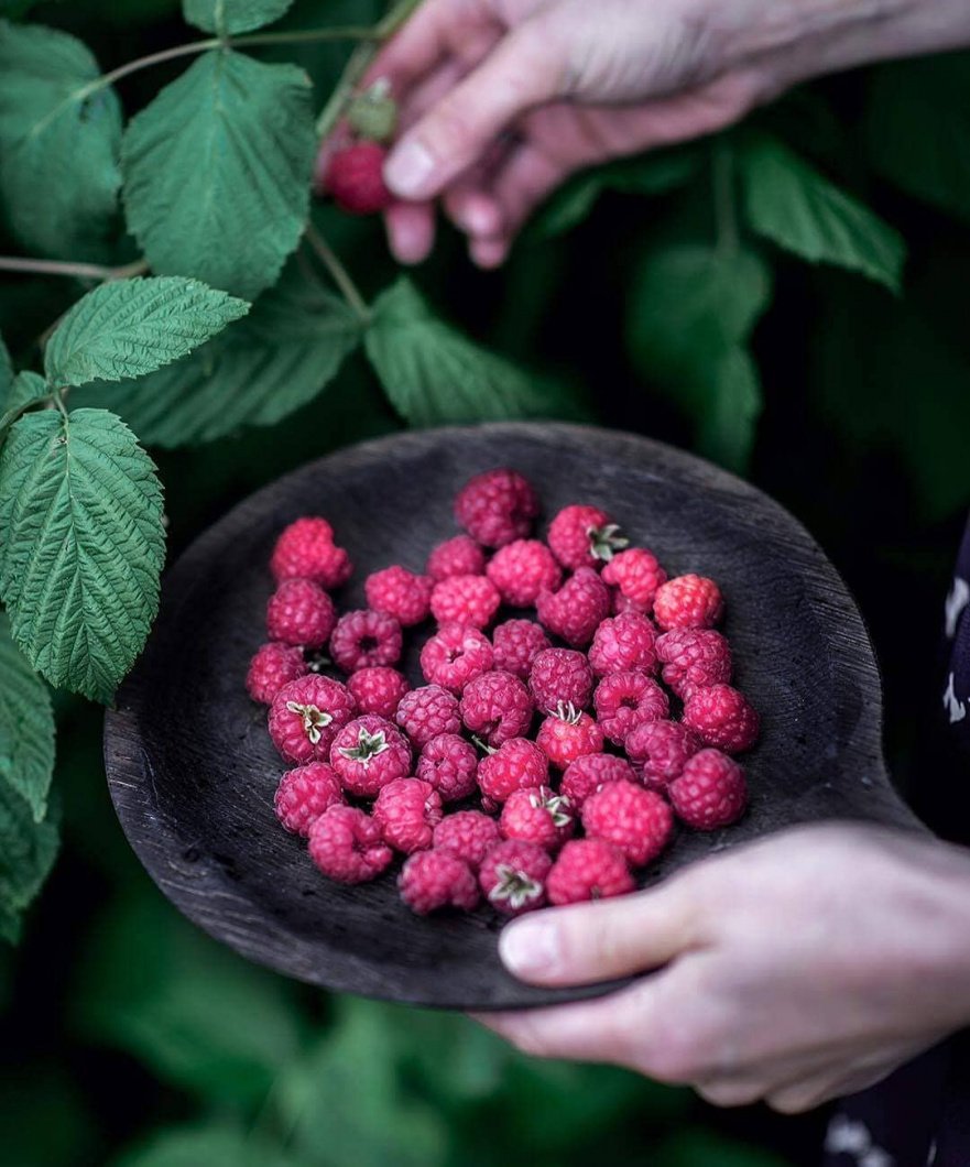 Тарелка "Блюдце осина" Чёрный FUGA ECO WOOD 123573 Чёрный  - Вид №3