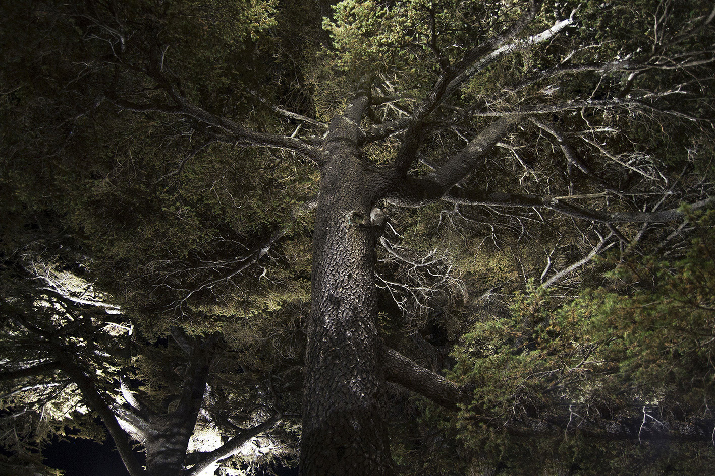 8422518 Проектор Platek SPRING Proiettore  SPRING Floodlight - 18 LED 3000K 40°  - Вид №3