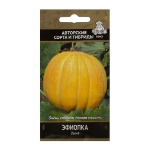 Семена Дыня «Эфиопка»