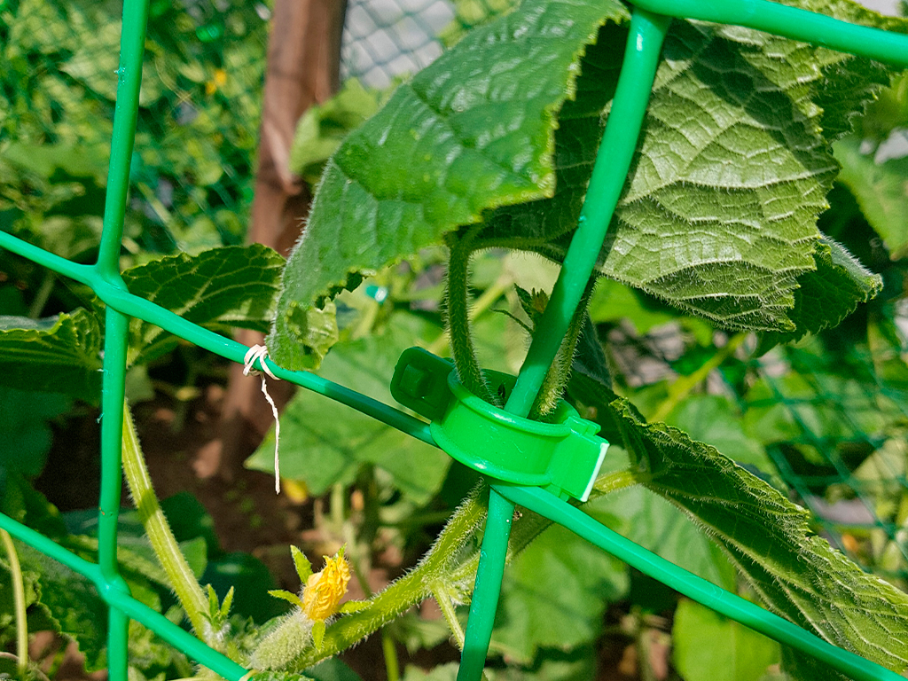 Клипса для крепления растений, 100 шт ГеоПластБорд GPBST-193 - Вид №3