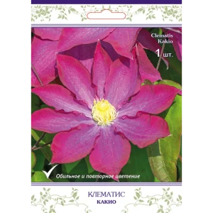 Клематис крупноцветковый Какио h15 см 83431388 STLM-2086724