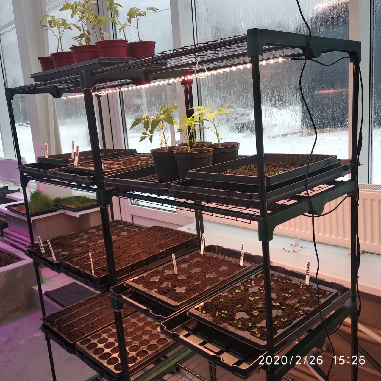 1913 Стеллаж универсальный 143*90*40 для рассады или цветов LAB.Space  - Вид №6