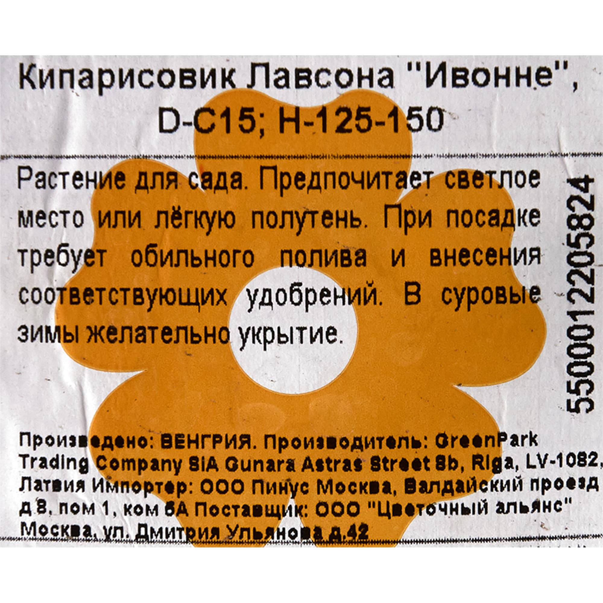 82176387 Кипарисовик Лавсона «Ивонне» 15 л 125-150 см Santreyd  - Вид №1