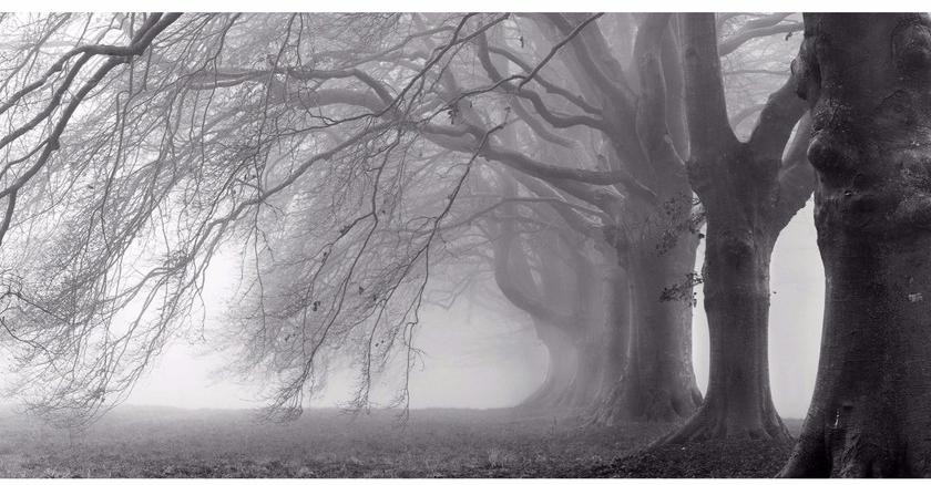 Creativespace Моющиеся флизелиновые обои с пейзажами Wallpaper 2016 sun-id-1433175 - Вид №1