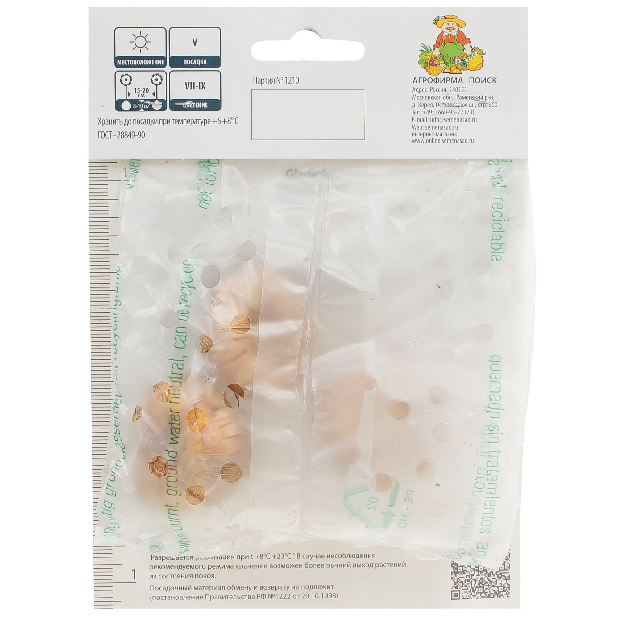 81945441 Гладиолус крупноцветковой «Джо Джо» Santreyd  - Вид №1