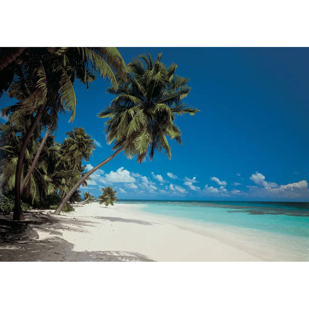 Фотопанно бумажное «Maldives», 388х270 см 17832006 STLM-2067724 Komar 