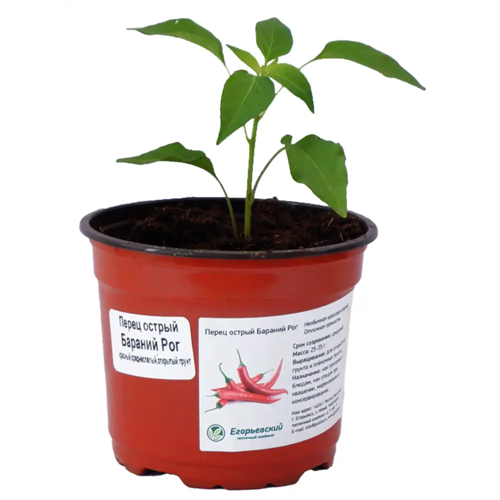 Перец острый микс ø12 h15 см Santreyd STLM-2006061 - Вид №1