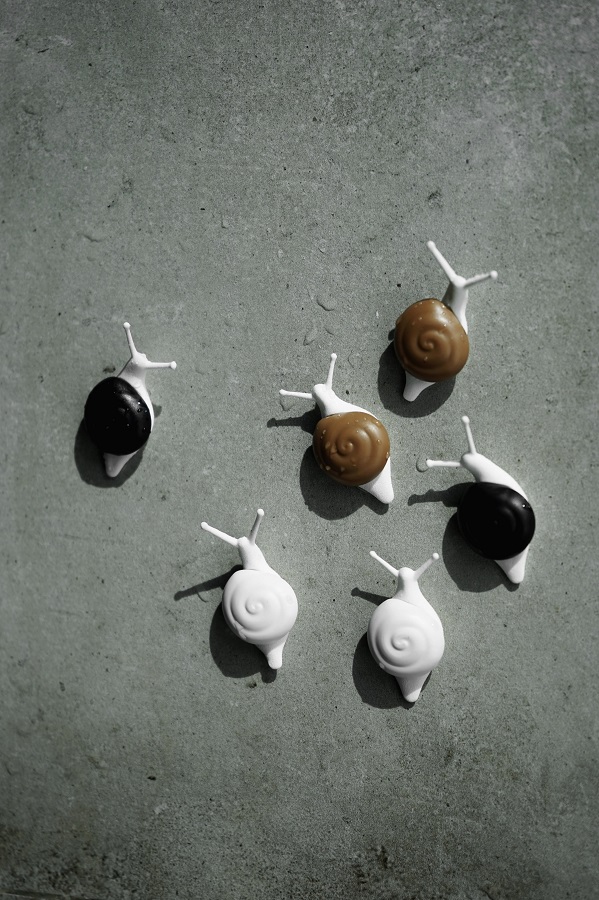 Магниты Snail, 6 шт Qualy QL10289MX - Вид №3