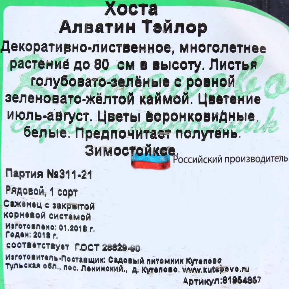 Хоста гибридная С2 «Алватин Тэйлор» h15 81954857 STLM-2038825 Santreyd  - Вид №2