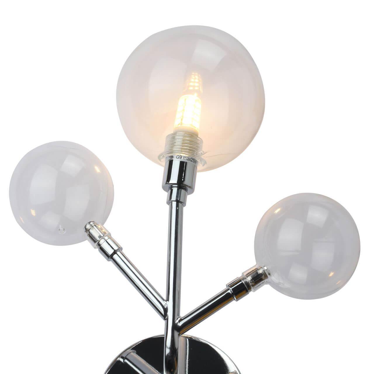 Бра галогеновое шампань Lash 2526-1W FAVOURITE LASH 00-3929564 Бежевый  - Вид №2