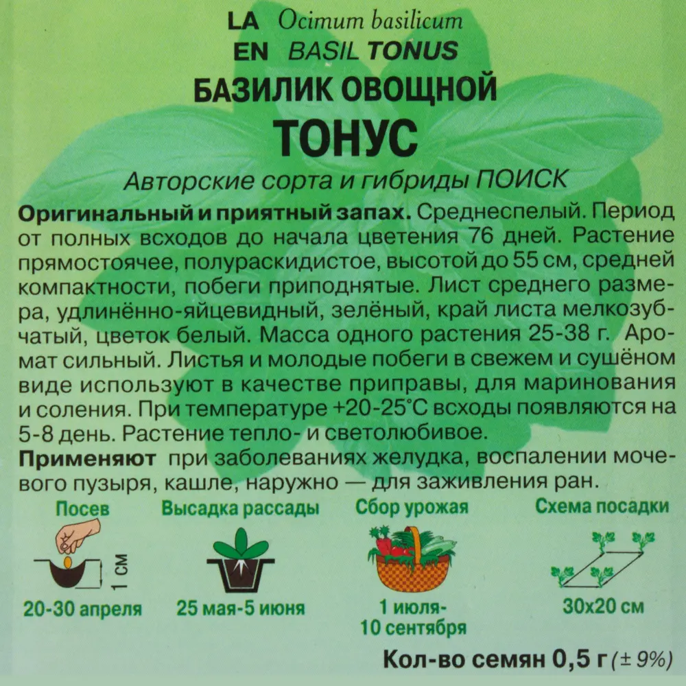 Базилик «Тонус» от ПОИСК — ароматная зелень для кухни 18355854 STLM-0010463 - Вид №2