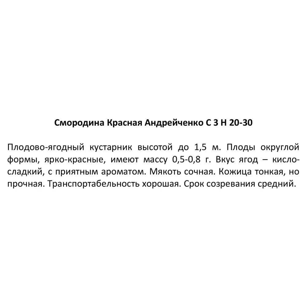 Смородина красная Андрейченко 20-30 см 84841702 STLM-2136978 Santreyd  - Вид №2