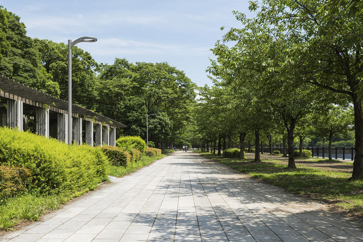 FSRT247 Aptos пешеходный  Forms-surfaces  - Вид №6