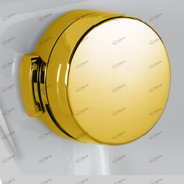 Слив перелив с наполнением Gruppo Treesse Coe-G золотой Дополнительные Опции COEG